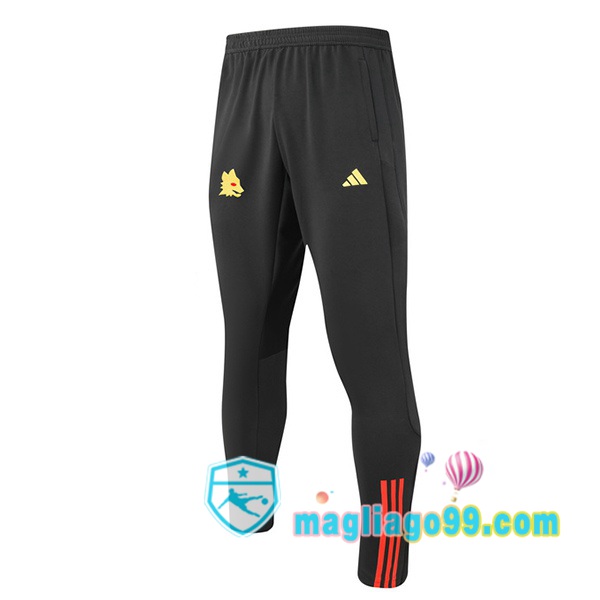 Magliago - Passione Maglie Thai Affidabili Basso Costo Online Shop | Pantaloni Da Allenamento AS Roma Grigio 2023/2024