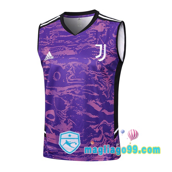 Magliago - Passione Maglie Thai Affidabili Basso Costo Online Shop | Gilet Calcio Juventus Porpora 2023/2024