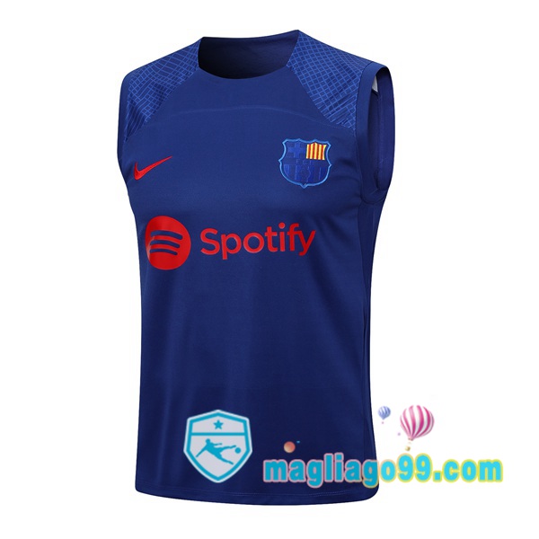 Magliago - Passione Maglie Thai Affidabili Basso Costo Online Shop | Gilet Calcio FC Barcellona Blu 2023/2024