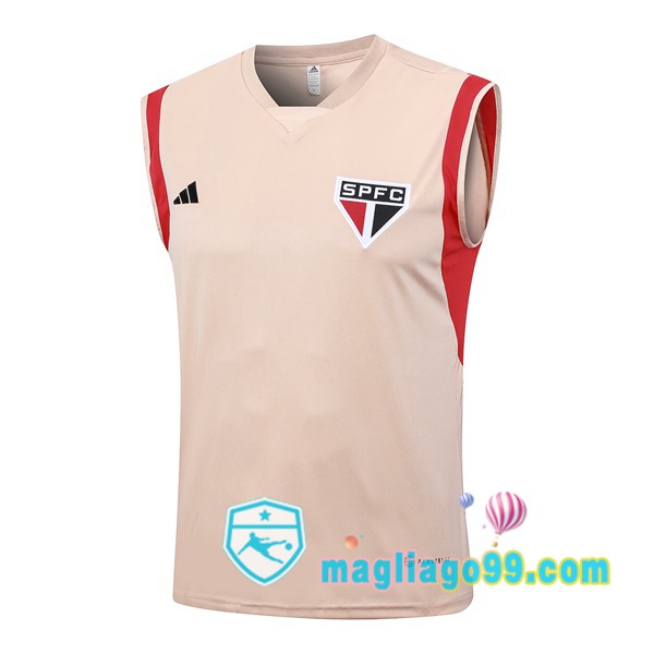 Magliago - Passione Maglie Thai Affidabili Basso Costo Online Shop | Gilet Calcio Sao Paulo FC Rosa 2023/2024