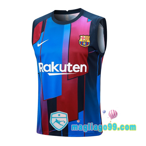 Magliago - Passione Maglie Thai Affidabili Basso Costo Online Shop | Gilet Calcio FC Barcellona Blu 2023/2024
