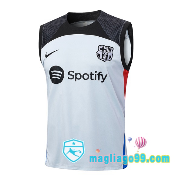 Magliago - Passione Maglie Thai Affidabili Basso Costo Online Shop | Gilet Calcio FC Barcellona Grigio 2023/2024