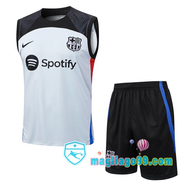 Magliago - Passione Maglie Thai Affidabili Basso Costo Online Shop | Gilet Calcio FC Barcellona + Shorts Grigio 2023/2024