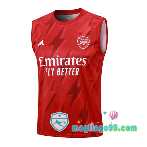Magliago - Passione Maglie Thai Affidabili Basso Costo Online Shop | Gilet Calcio Arsenal Rosso 2023/2024