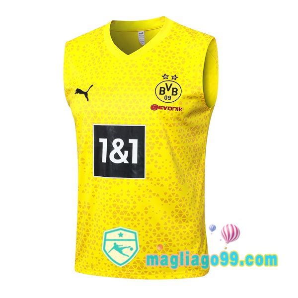 Magliago - Passione Maglie Thai Affidabili Basso Costo Online Shop | Gilet Calcio Dortmund BVB Giallo 2023/2024