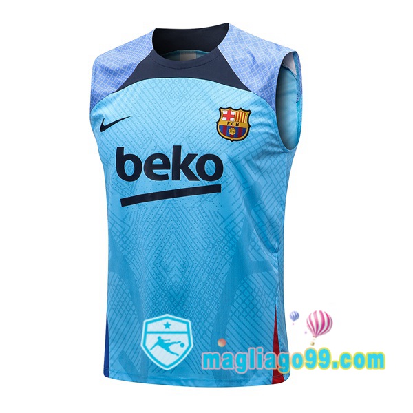 Magliago - Passione Maglie Thai Affidabili Basso Costo Online Shop | Gilet Calcio FC Barcellona Blu 2022/2023