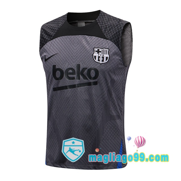 Magliago - Passione Maglie Thai Affidabili Basso Costo Online Shop | Gilet Calcio FC Barcellona Grigio 2022/2023