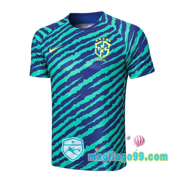 Magliago - Passione Maglie Thai Affidabili Basso Costo Online Shop | Tuta Maglie Allenamento Brasile Verde 2022/2023