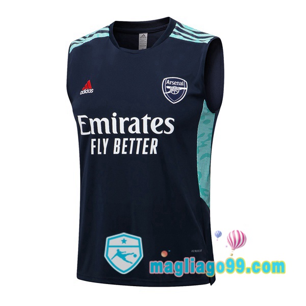 Magliago - Passione Maglie Thai Affidabili Basso Costo Online Shop | Gilet Calcio Arsenal Blu Royal 2022/2023