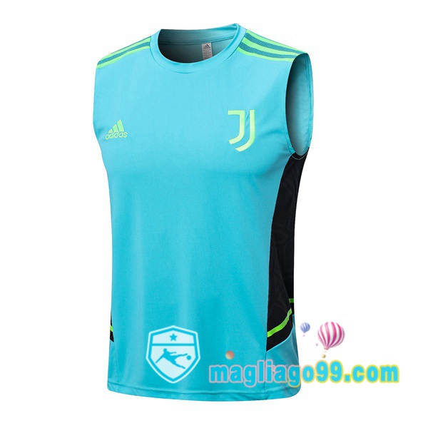 Magliago - Passione Maglie Thai Affidabili Basso Costo Online Shop | Gilet Calcio Juventus Verde 2022/2023