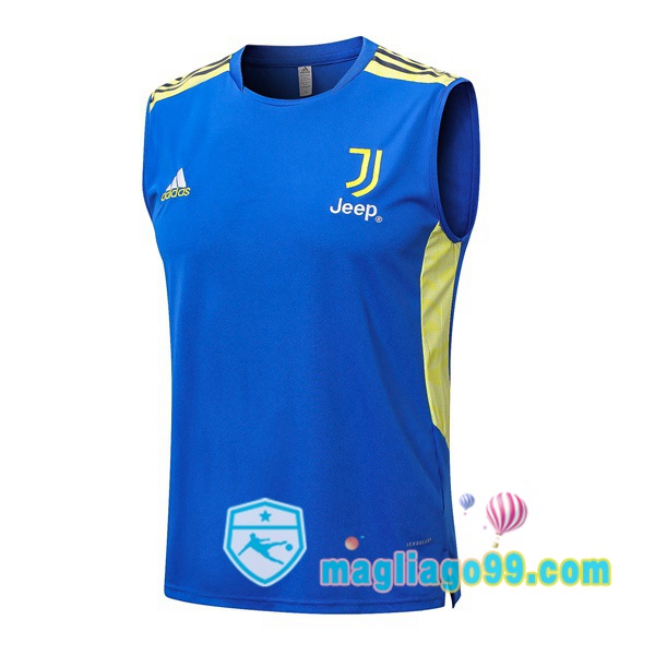 Magliago - Passione Maglie Thai Affidabili Basso Costo Online Shop | Gilet Calcio Juventus Blu 2022/2023