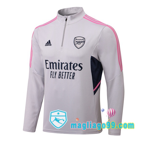 Magliago - Passione Maglie Thai Affidabili Basso Costo Online Shop | Felpe Allenamento Arsenal Grigio 2022/2023