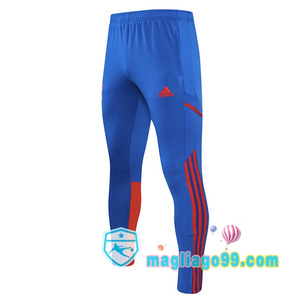 Magliago - Passione Maglie Thai Affidabili Basso Costo Online Shop | Pantaloni Da Allenamento Lyon OL Blu 2022/2023