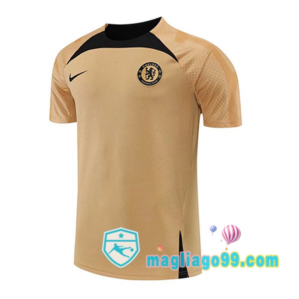 Magliago - Passione Maglie Thai Affidabili Basso Costo Online Shop | Tuta Maglie Allenamento FC Chelsea Giallo 2022/2023