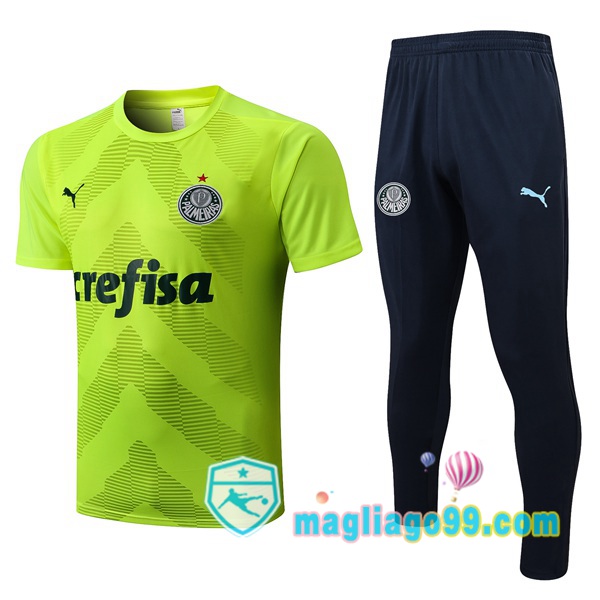 Magliago - Passione Maglie Thai Affidabili Basso Costo Online Shop | Tuta Maglie Allenamento Palmeiras + Pantaloni Verde 2022/2023