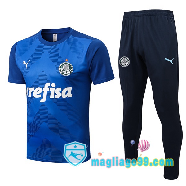 Magliago - Passione Maglie Thai Affidabili Basso Costo Online Shop | Tuta Maglie Allenamento Palmeiras + Pantaloni Blu 2022/2023