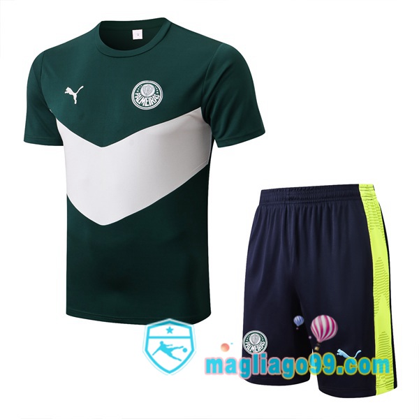 Magliago - Passione Maglie Thai Affidabili Basso Costo Online Shop | Tuta Maglie Allenamento Palmeiras + Shorts Verde Bianco 2022/2023