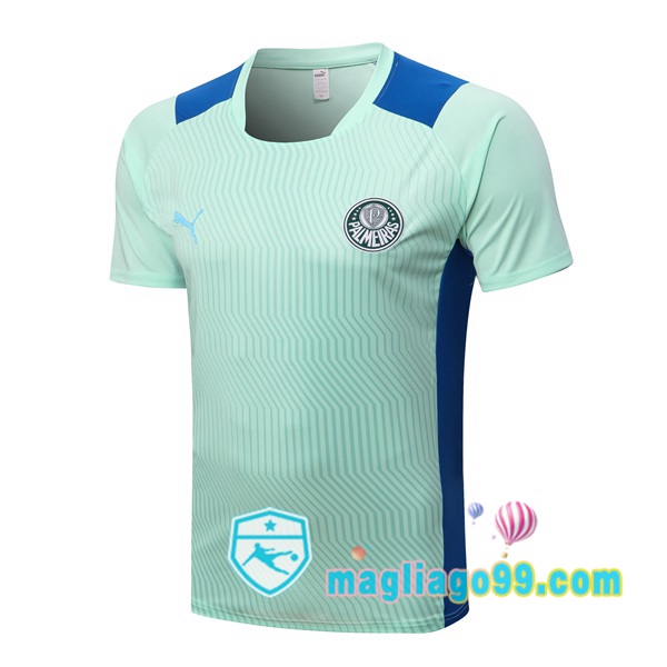 Magliago - Passione Maglie Thai Affidabili Basso Costo Online Shop | Tuta Maglie Allenamento Palmeiras Verde 2022/2023