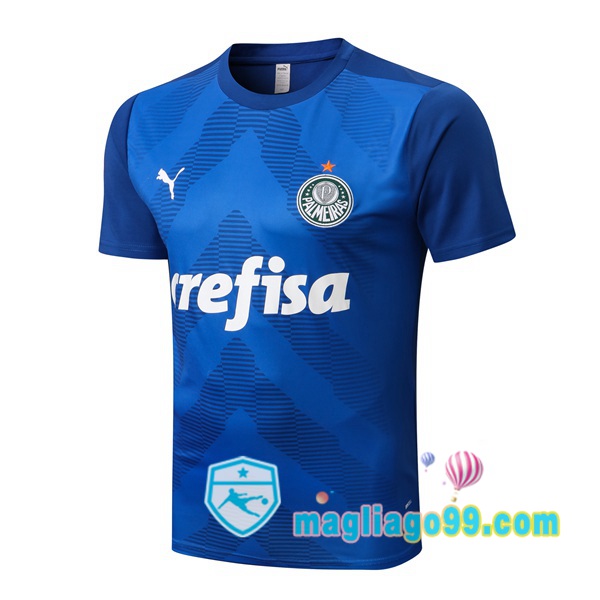 Magliago - Passione Maglie Thai Affidabili Basso Costo Online Shop | Tuta Maglie Allenamento Palmeiras Blu 2022/2023