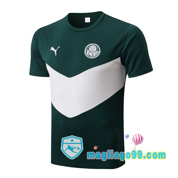 Magliago - Passione Maglie Thai Affidabili Basso Costo Online Shop | Tuta Maglie Allenamento Palmeiras Verde Bianco 2022/2023