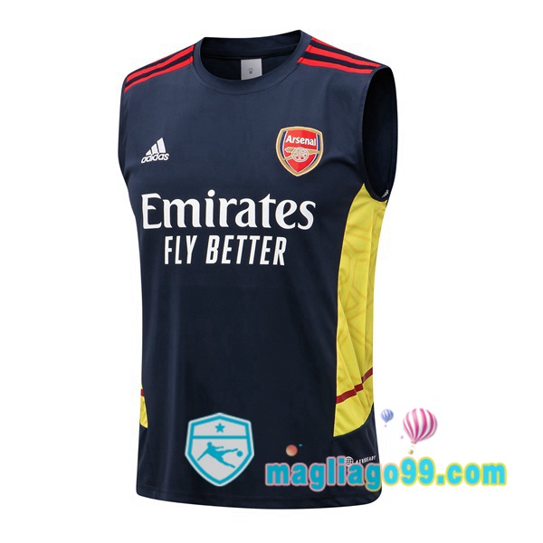 Magliago - Passione Maglie Thai Affidabili Basso Costo Online Shop | Gilet Calcio Arsenal Blu Royal 2022/2023