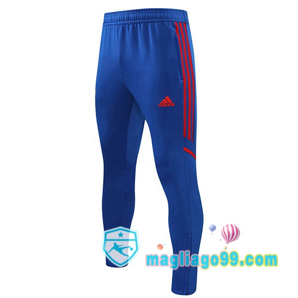 Magliago - Passione Maglie Thai Affidabili Basso Costo Online Shop | Pantaloni Da Allenamento Lyon OL Blu 2022/2023