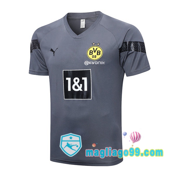 Magliago - Passione Maglie Thai Affidabili Basso Costo Online Shop | Tuta Maglie Allenamento Dortmund BVB Grigio 2023/2024