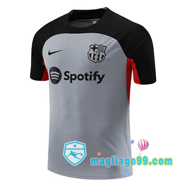 Magliago - Passione Maglie Thai Affidabili Basso Costo Online Shop | Tuta Maglie Allenamento FC Barcellona Grigio 2023/2024