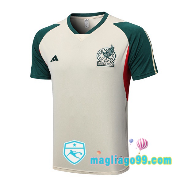 Magliago - Passione Maglie Thai Affidabili Basso Costo Online Shop | Tuta Maglie Allenamento Messico Marrone 2023/2024