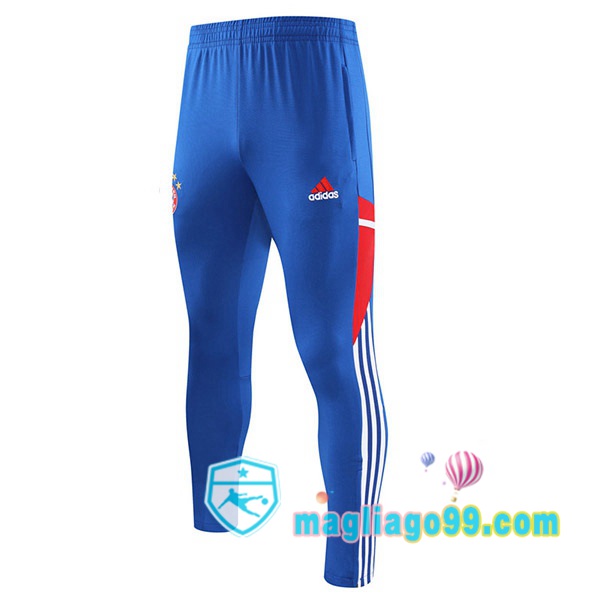 Magliago - Passione Maglie Thai Affidabili Basso Costo Online Shop | Pantaloni Da Allenamento Bayern Monaco Blu 2023/2024