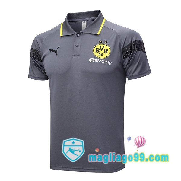 Magliago - Passione Maglie Thai Affidabili Basso Costo Online Shop | Dortmund BVB Polo Maglia Uomo Grigio 2023/2024