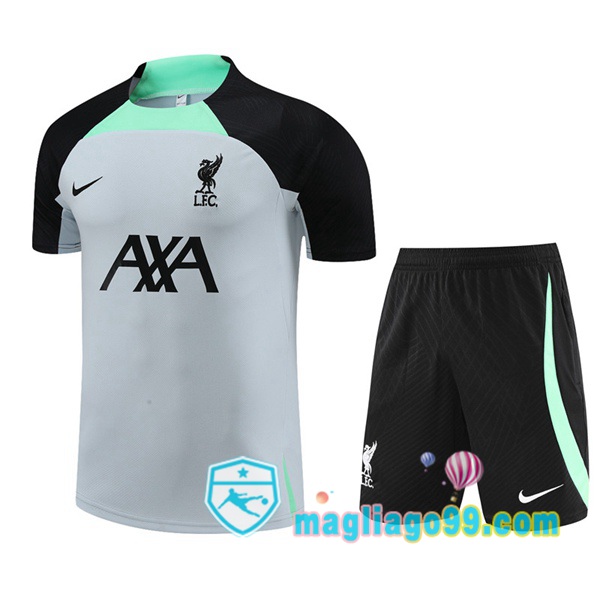 Magliago - Passione Maglie Thai Affidabili Basso Costo Online Shop | Tuta Maglie Allenamento FC Liverpool + Shorts Grigio 2023/2024