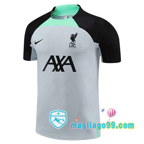 Magliago - Passione Maglie Thai Affidabili Basso Costo Online Shop | Tuta Maglie Allenamento FC Liverpool Grigio 2023/2024