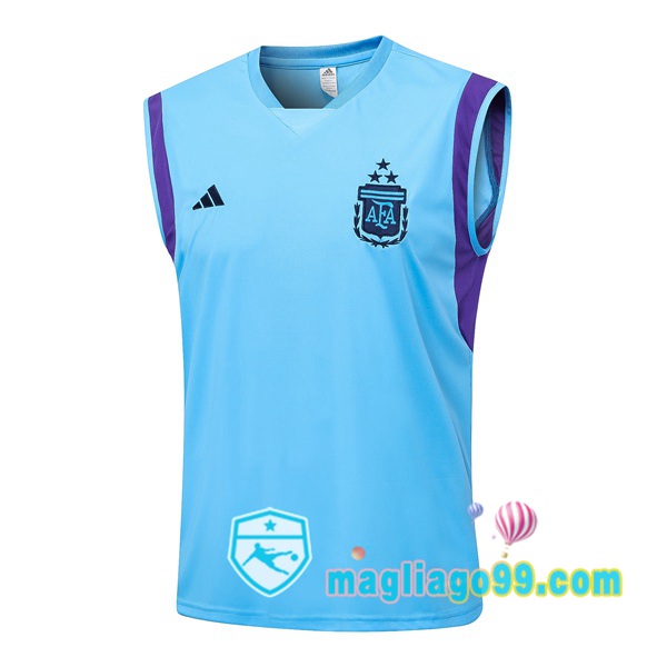Magliago - Passione Maglie Thai Affidabili Basso Costo Online Shop | Gilet Calcio Argentina Blu 2023/2024