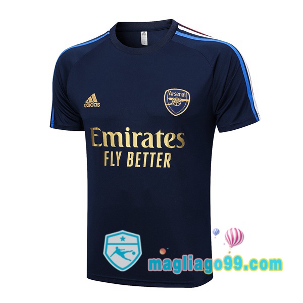 Magliago - Passione Maglie Thai Affidabili Basso Costo Online Shop | Tuta Maglie Allenamento Arsenal Blu Royal 2023/2024