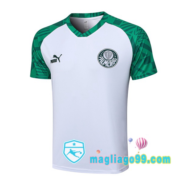 Magliago - Passione Maglie Thai Affidabili Basso Costo Online Shop | Tuta Maglie Allenamento Palmeiras Bianco 2023/2024