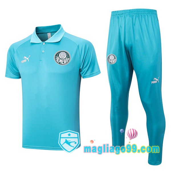 Magliago - Passione Maglie Thai Affidabili Basso Costo Online Shop | Palmeiras Polo Maglia Uomo + Pantaloni Verde 2023/2024