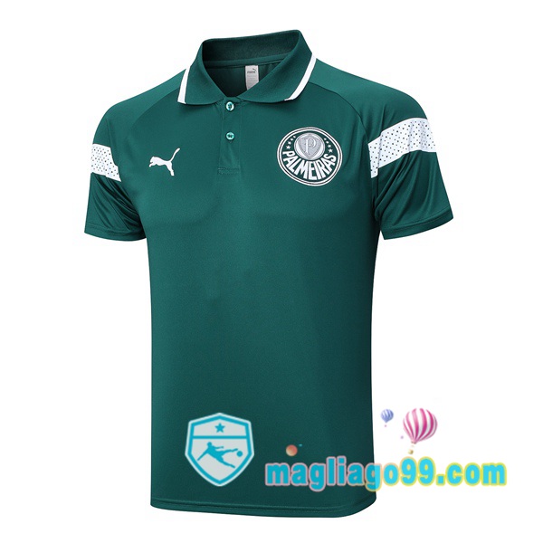Magliago - Passione Maglie Thai Affidabili Basso Costo Online Shop | Palmeiras Polo Maglia Uomo Verde 2023/2024