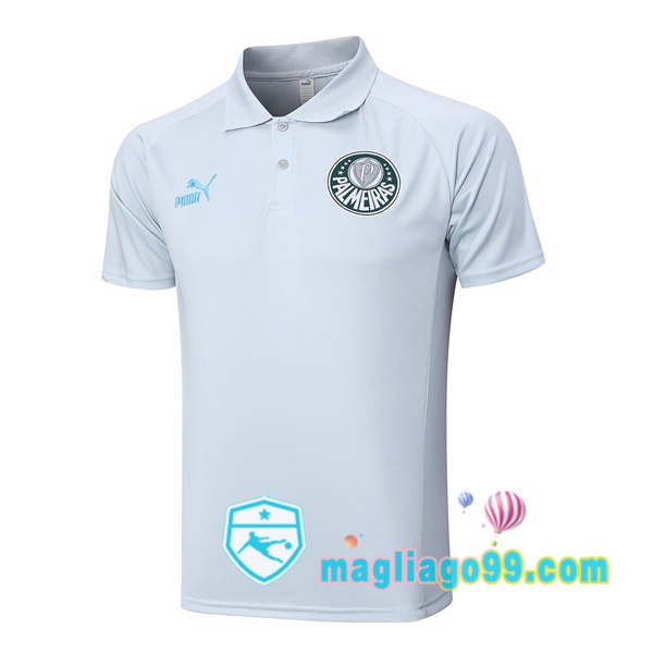 Magliago - Passione Maglie Thai Affidabili Basso Costo Online Shop | Palmeiras Polo Maglia Uomo Grigio 2023/2024