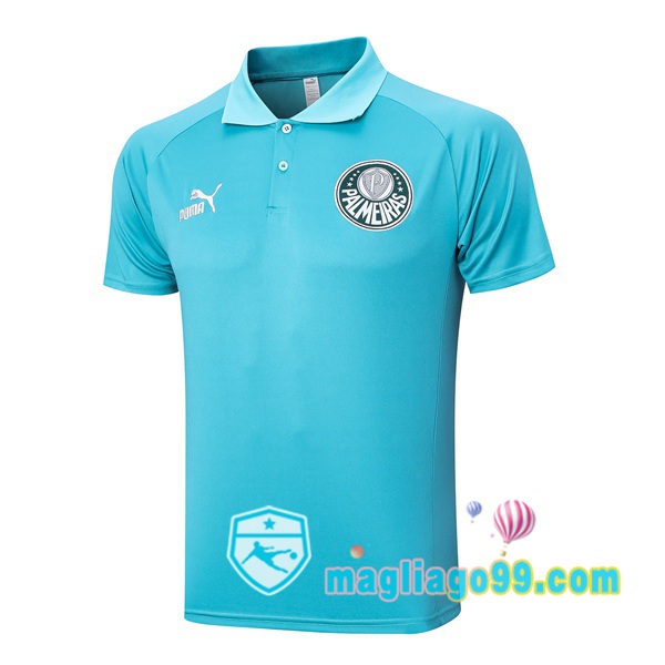 Magliago - Passione Maglie Thai Affidabili Basso Costo Online Shop | Palmeiras Polo Maglia Uomo Verde 2023/2024