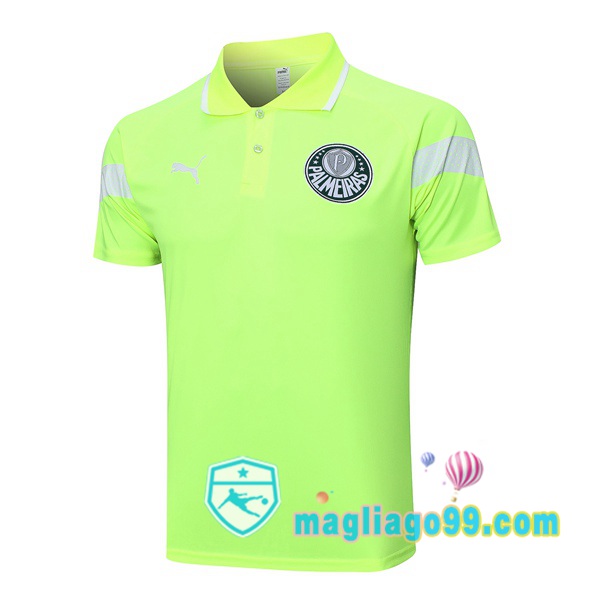 Magliago - Passione Maglie Thai Affidabili Basso Costo Online Shop | Palmeiras Polo Maglia Uomo Verde 2023/2024