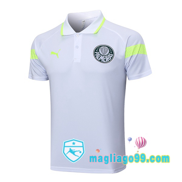 Magliago - Passione Maglie Thai Affidabili Basso Costo Online Shop | Palmeiras Polo Maglia Uomo Grigio 2023/2024