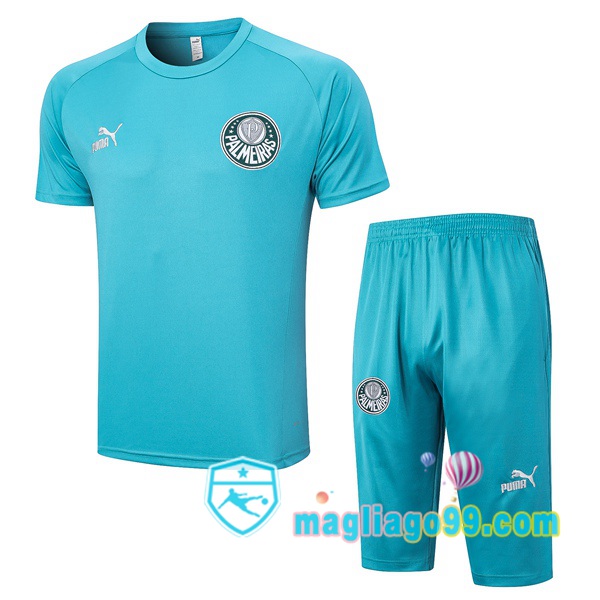 Magliago - Passione Maglie Thai Affidabili Basso Costo Online Shop | Tuta Maglie Allenamento Palmeiras + Shorts Ciano 2023/2024