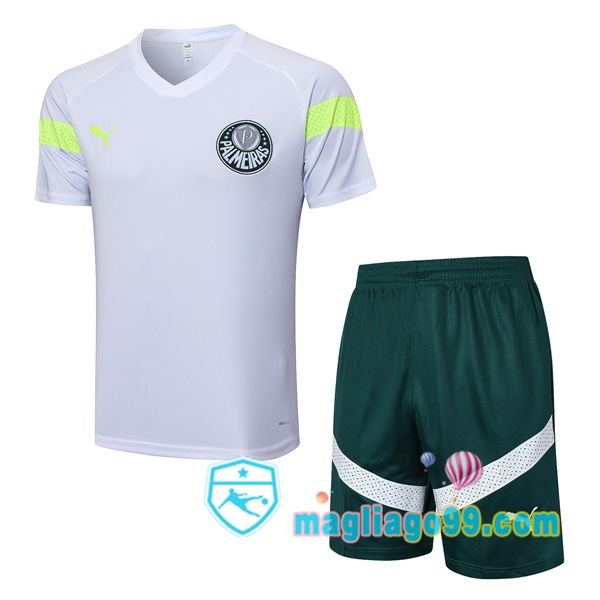 Magliago - Passione Maglie Thai Affidabili Basso Costo Online Shop | Tuta Maglie Allenamento Palmeiras + Shorts Bianco 2023/2024