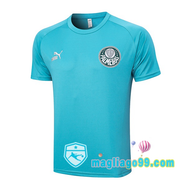 Magliago - Passione Maglie Thai Affidabili Basso Costo Online Shop | Tuta Maglie Allenamento Palmeiras Ciano 2023/2024