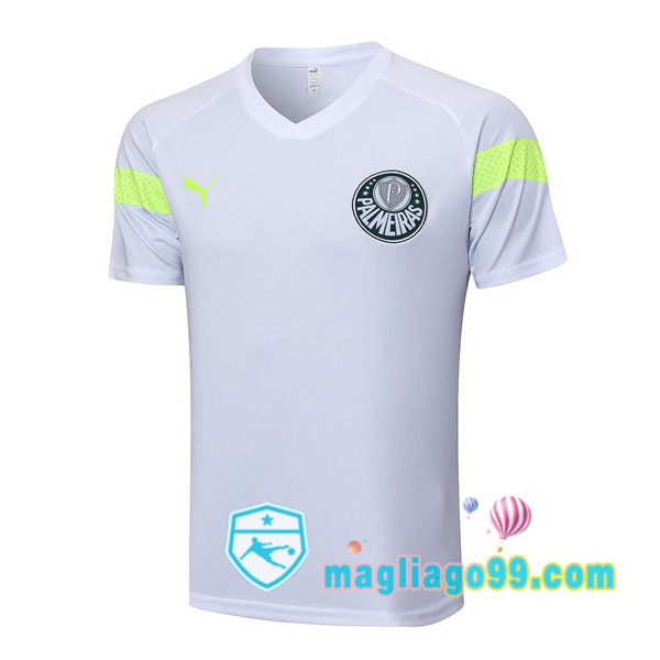 Magliago - Passione Maglie Thai Affidabili Basso Costo Online Shop | Tuta Maglie Allenamento Palmeiras Bianco 2023/2024