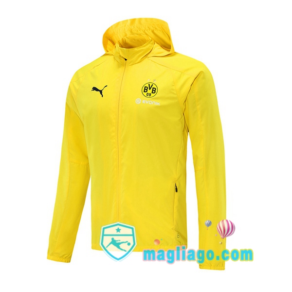 Magliago - Passione Maglie Thai Affidabili Basso Costo Online Shop | Giacca a Vento Dortmund BVB Giallo 2020/2021