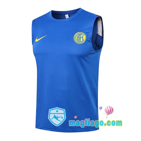 Magliago - Passione Maglie Thai Affidabili Basso Costo Online Shop | Gilet da Calcio Inter Milan Blu 2021/2022