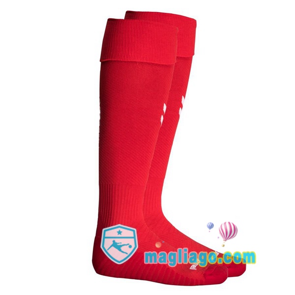 Magliago - Passione Maglie Thai Affidabili Basso Costo Online Shop | Calzettoni Da Calcio Danimarca Prima 2020/2021