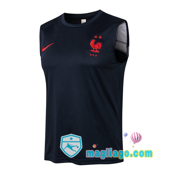 Magliago - Passione Maglie Thai Affidabili Basso Costo Online Shop | Gilet da Calcio Francia Blu Royal 2021/2022